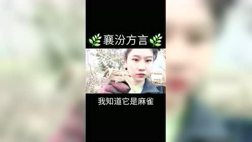 襄汾头条最新爆料,重大事件背后真相揭晓！