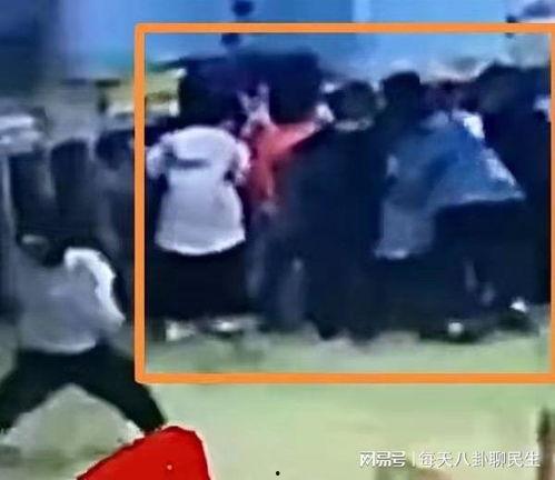 刘真父母爆料视频大全集,揭开背后真相与感人瞬间